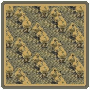 3 little Ducks Patch