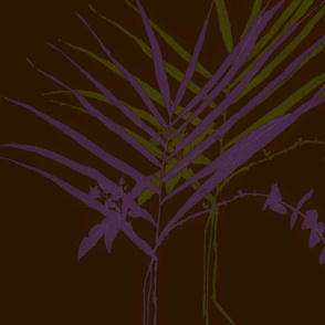 sprigs black