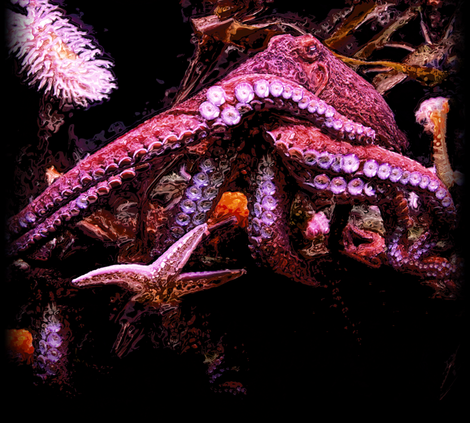 Kraken 40 fabric by stephen_linhart on Spoonflower - custom fabric