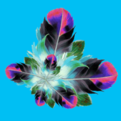 FeathersBrightBlue