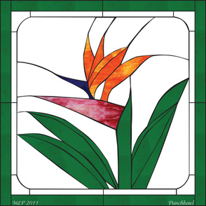 Bird of Paradise