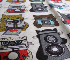 Cats with Cameras