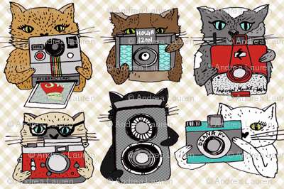 Cats with Cameras