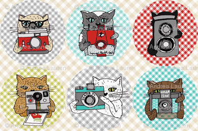 Cats with Cameras - Spots