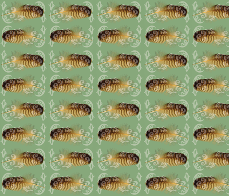 A Hawk Feather fabric by owlandchickadee on Spoonflower - custom fabric