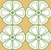 Flowers on Orange