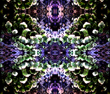-ed fabric by jomie5 on Spoonflower - custom fabric