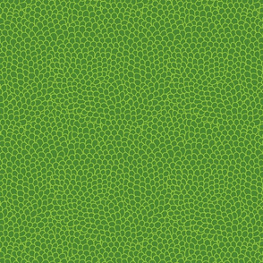 Shells - green
