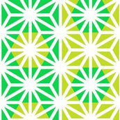 Asa_bright_green_shop_thumb