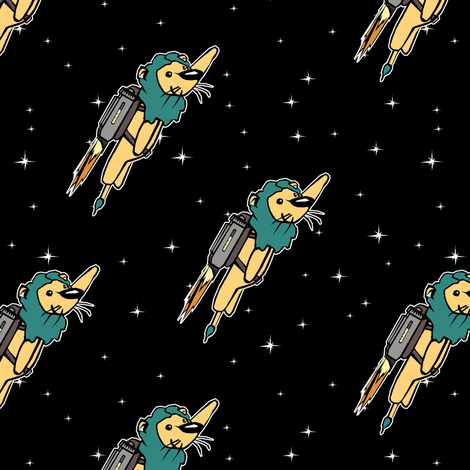 Coordinate Rocket Lion
