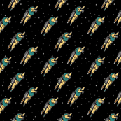 Coordinate Rocket Lion
