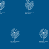Abies concolor (western white fir) on blueprint