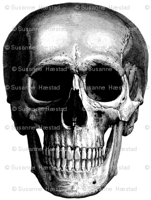 Skull Giant