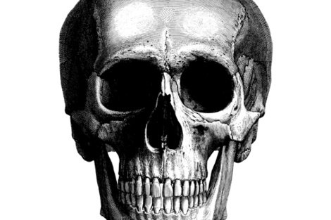 Skull Giant fabric by sydama on Spoonflower - custom fabric