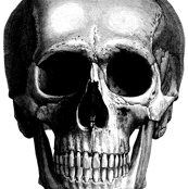 Rrrrrrrrrrskull_shop_thumb