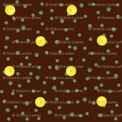Buttercups on a bush coordinate dot (dark twig)