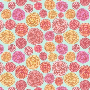 ranunculus