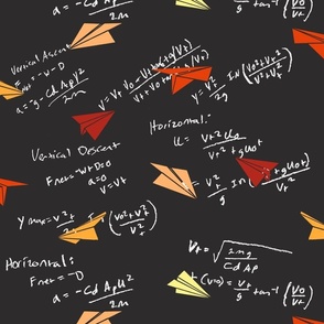 Physics of Flight, Large