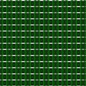 Rajper-36