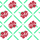 vintage geraniums in lattice