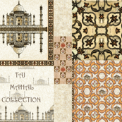 AGRA taj_mahal_collection