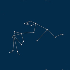 Aquarius, the Water Bearer (01)
