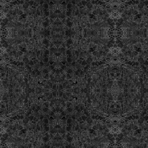 Lobelia Lace in Black and Gray