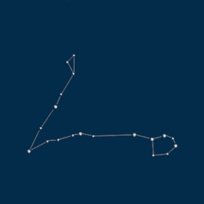 Pisces, the Fish (01)