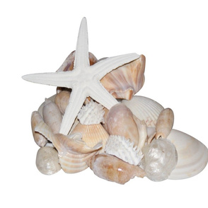 Shells