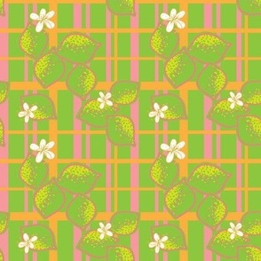 lime lines (plaid)