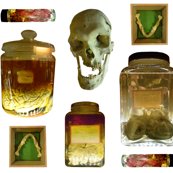 Rrrrthings_in_jars_2_shop_thumb