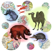 Animals and Maps