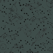 Animal Constellations - Dark Grey Inverse