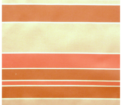 stripey_pink