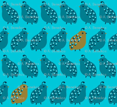 Quail Parade