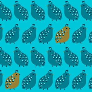 Quail Parade