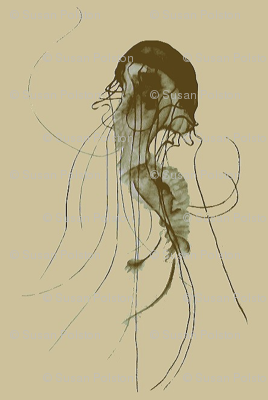 Jellyfish