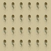 Rrrjellyfish_shop_thumb
