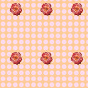 Peony with Pink Dots