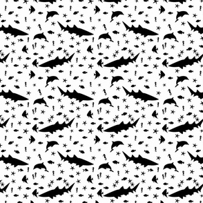 sea creatures b/w