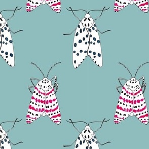 Rattlebox Moths in Blue