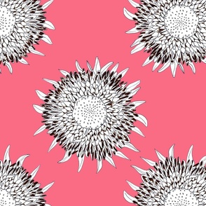 Sunflowers in Pink