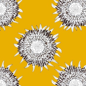 Yellow Sunflowers