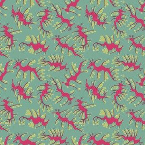 Leafy Seadragons