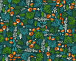 Deep Reef Fish
