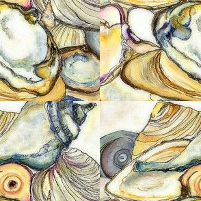 Shells11x11-ed