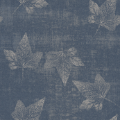 Stonewashed Denim Ivy