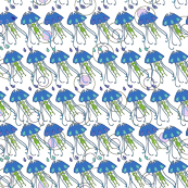 Rjellyfish