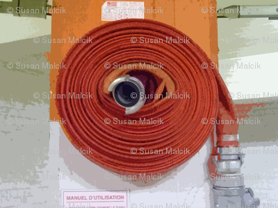 Fire Hose Rose