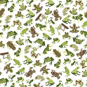Ditsy Frogs